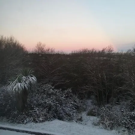 Stunning Set In Private Native Woodland Ramelton