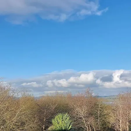 Daire Stunning Set In Private Native Woodland *