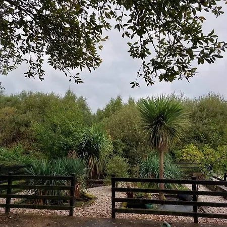 Daire Stunning Set In Private Native Woodland