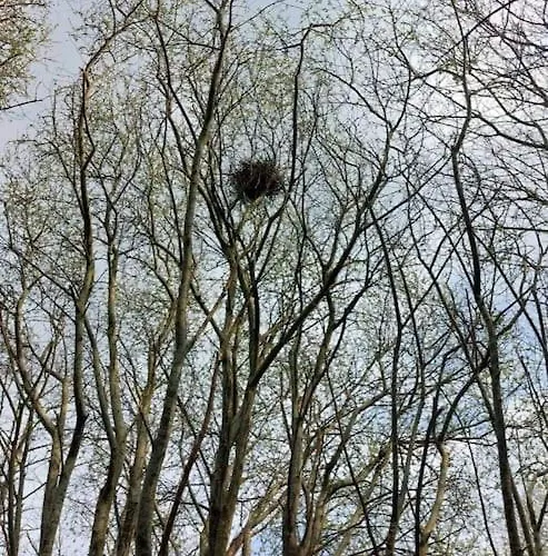 Apartmán Stunning Set In Private Native Woodland