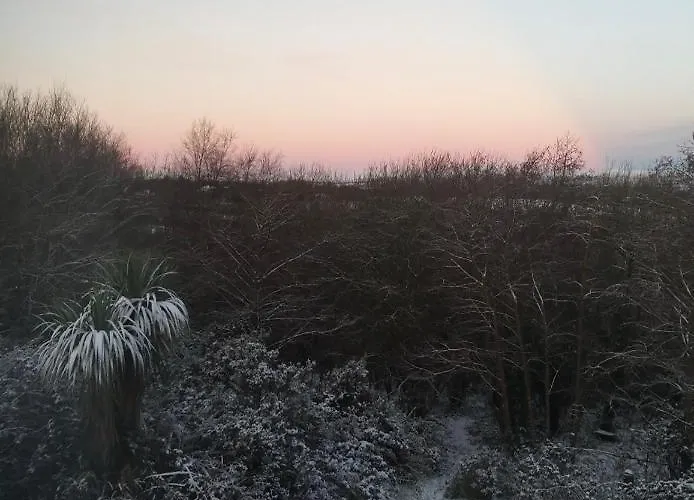 Stunning Set In Private Native Woodland Ramelton