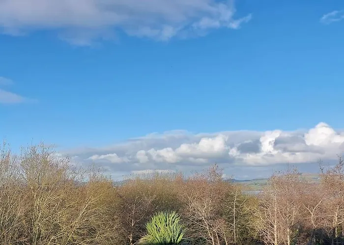 Apartmán Stunning Set In Private Native Woodland *