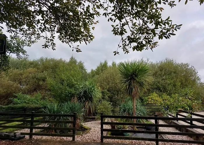 Apartmán Stunning Set In Private Native Woodland