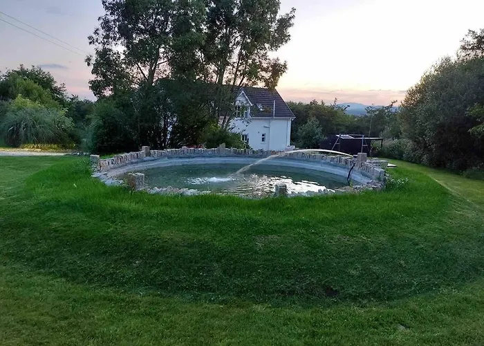 Stunning Set In Private Native Woodland Ramelton